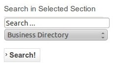 search-in-selected-section